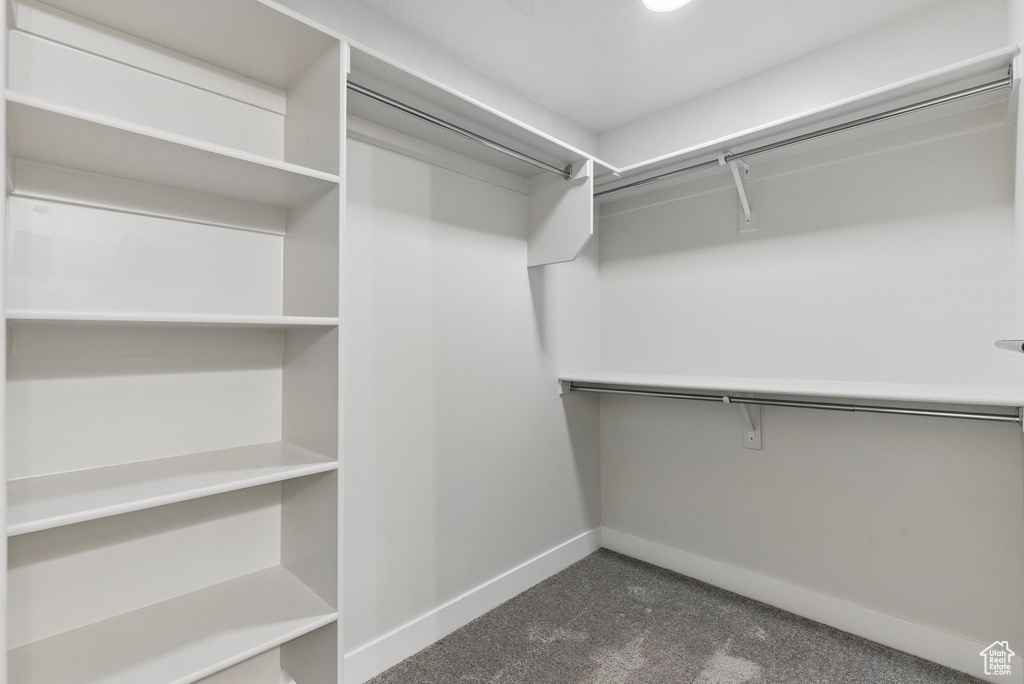 Walk in closet with dark carpet