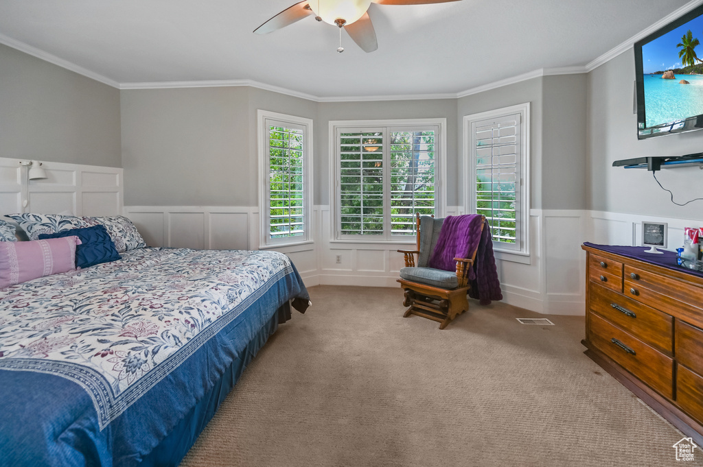 Bedroom featuring wainscoting, crown molding, multiple windows, a decorative wall, and carpet floors
