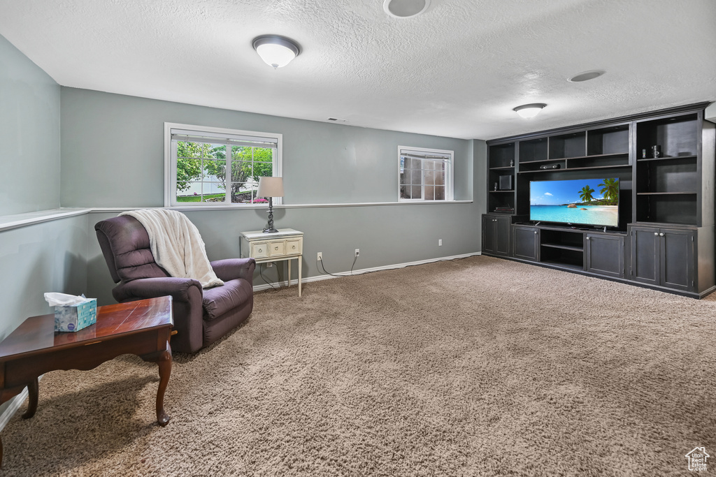 Sitting room featuring a textured ceiling, carpet flooring, and baseboards