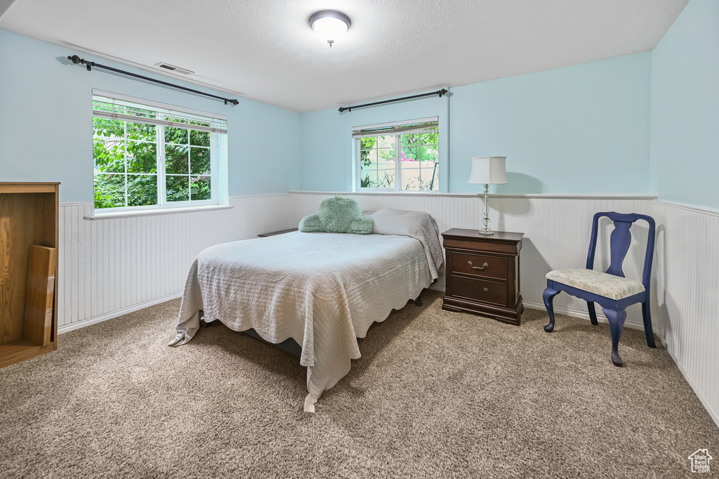 Bedroom featuring a wainscoted wall and carpet floors