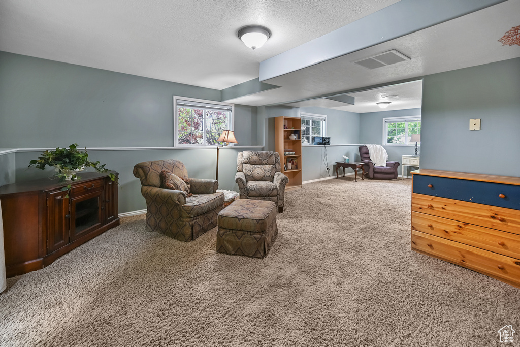 Living area with carpet, baseboards, and a textured ceiling