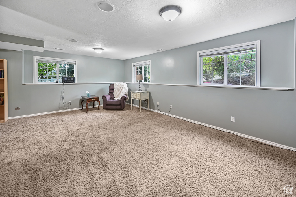 Living area featuring carpet floors, a textured ceiling, baseboards, and arched walkways
