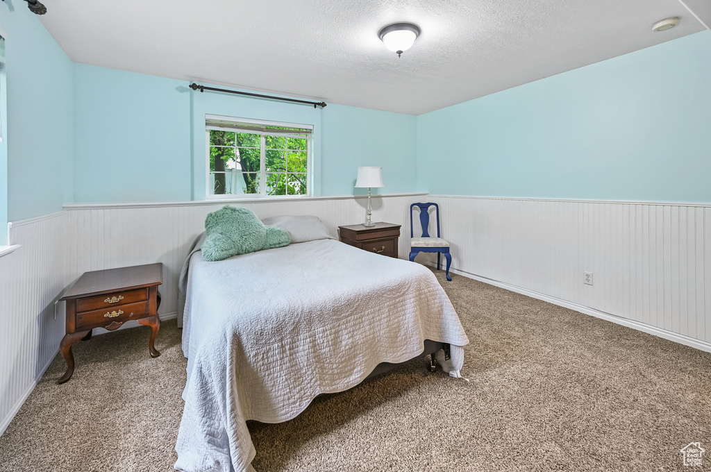 Bedroom with wainscoting, carpet, and a textured ceiling