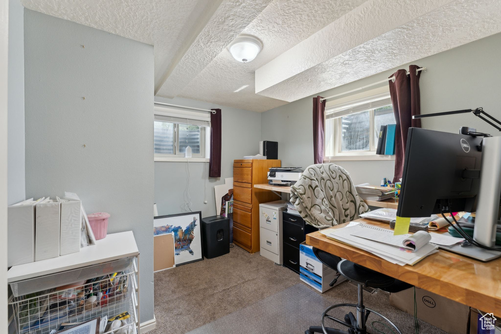 Office with a textured ceiling and light colored carpet