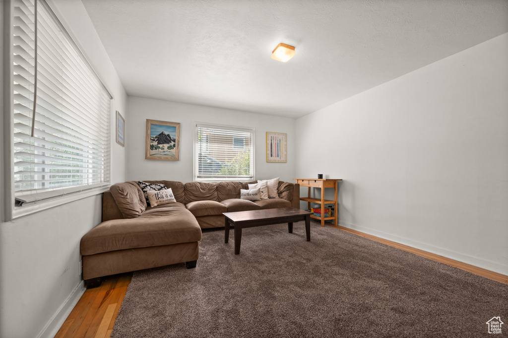 Living area featuring plenty of natural light, wood finished floors, and baseboards