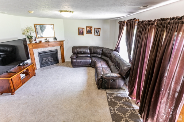 Carpeted living room featuring a textured ceiling, a fireplace, and healthy amount of natural light