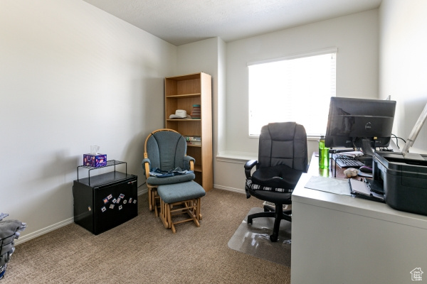 Office area featuring healthy amount of natural light, carpet floors, and baseboards
