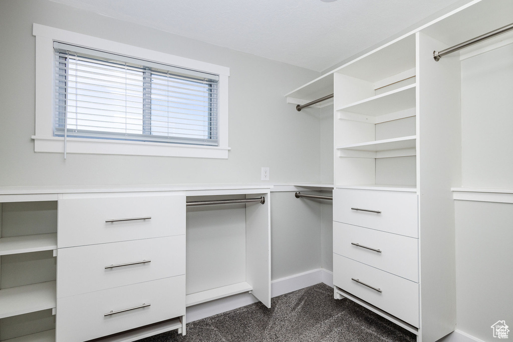 Spacious closet featuring dark colored carpet