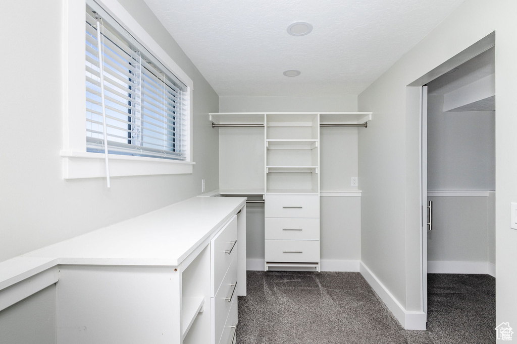 Spacious closet featuring dark colored carpet