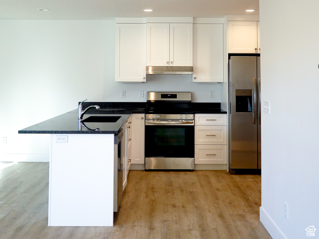 Kitchen featuring appliances with stainless steel finishes, under cabinet range hood, a sink, a peninsula, and light wood-type flooring
