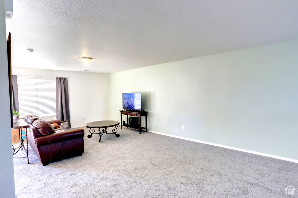 Carpeted living area with baseboards