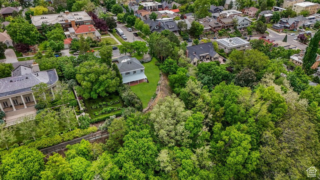 Aerial perspective of suburban area featuring a tree filled landscape