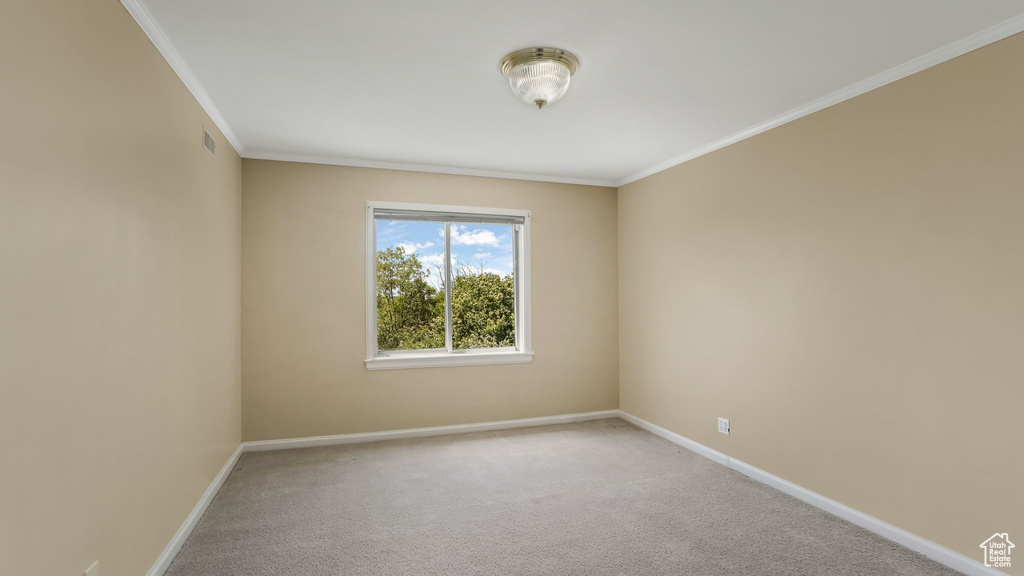 Unfurnished room featuring crown molding, baseboards, and carpet floors