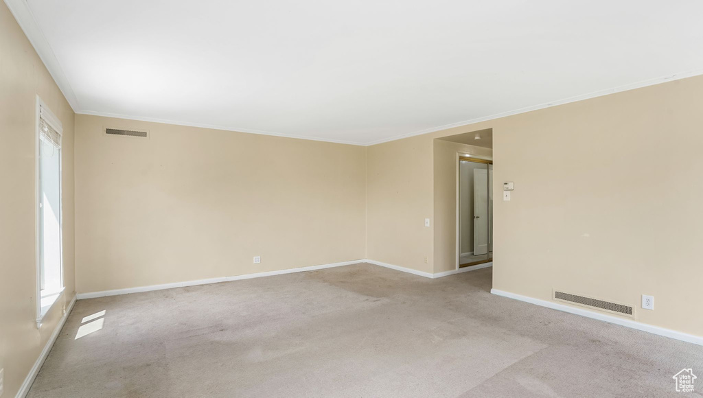 Spare room with plenty of natural light, carpet, baseboards, and ornamental molding