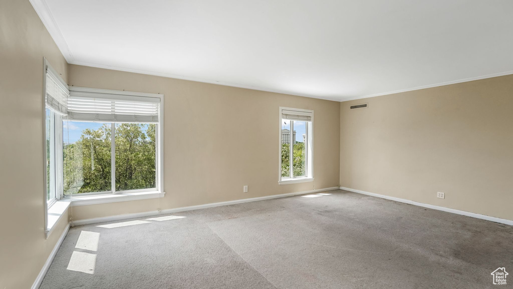 Carpeted empty room featuring baseboards and crown molding