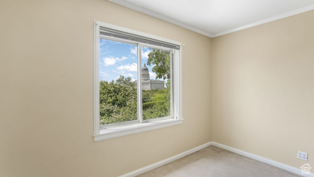 Empty room featuring baseboards, light colored carpet, and ornamental molding