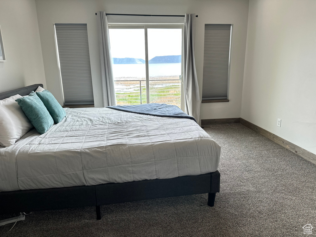 Bedroom with carpet, baseboards, and multiple windows