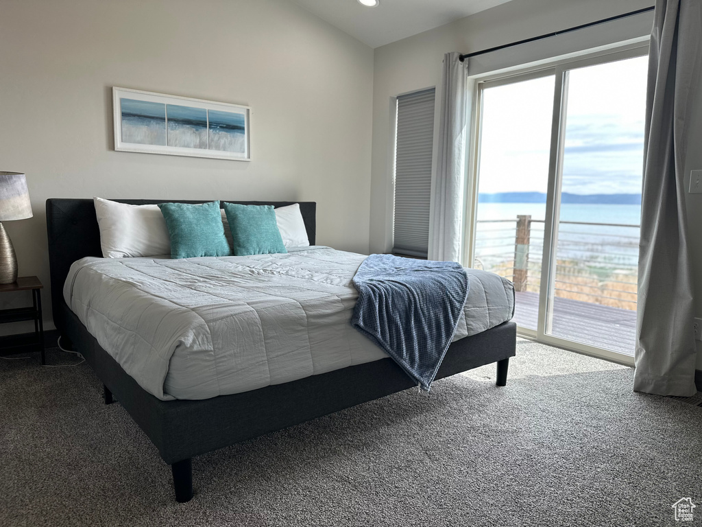 Bedroom featuring carpet floors, access to exterior, and multiple windows