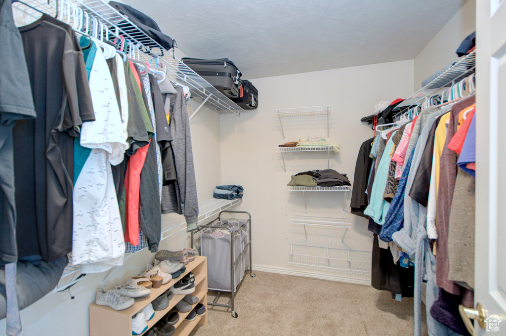 Walk in closet with carpet
