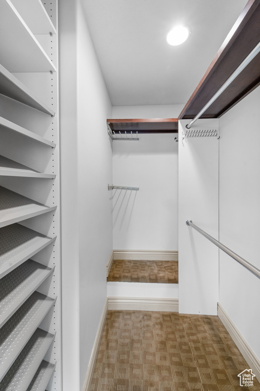 Walk in closet with carpet floors