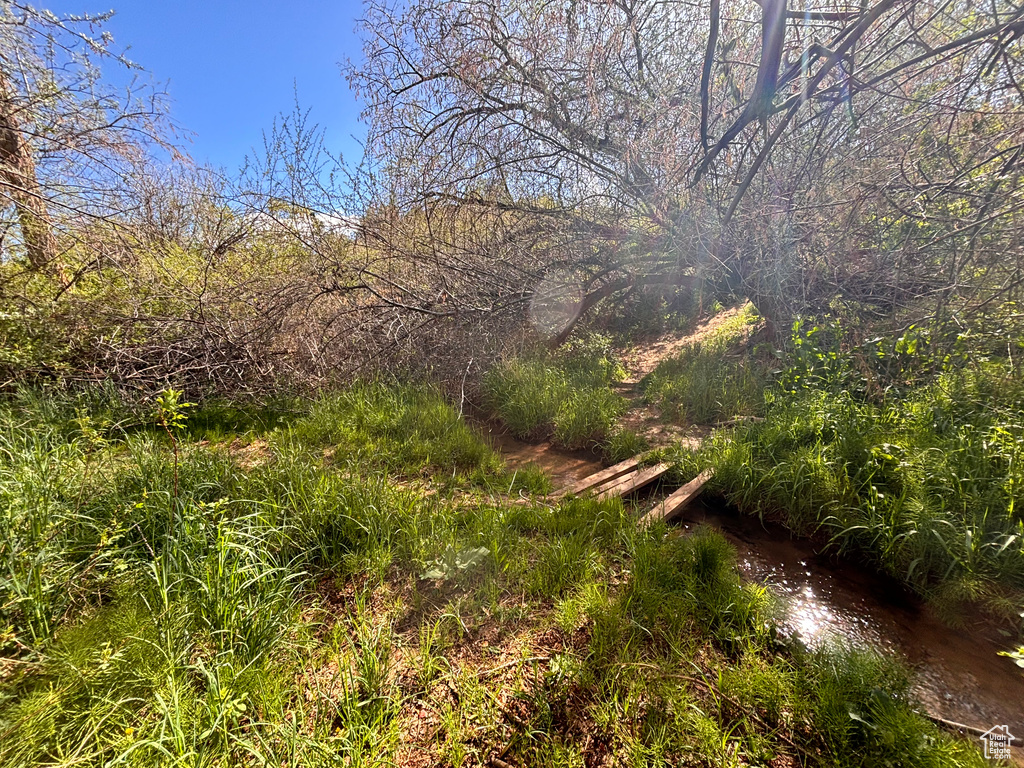 View of undeveloped land