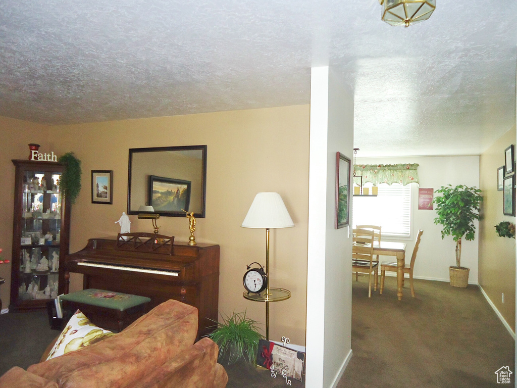 Carpeted living area featuring baseboards and a textured ceiling