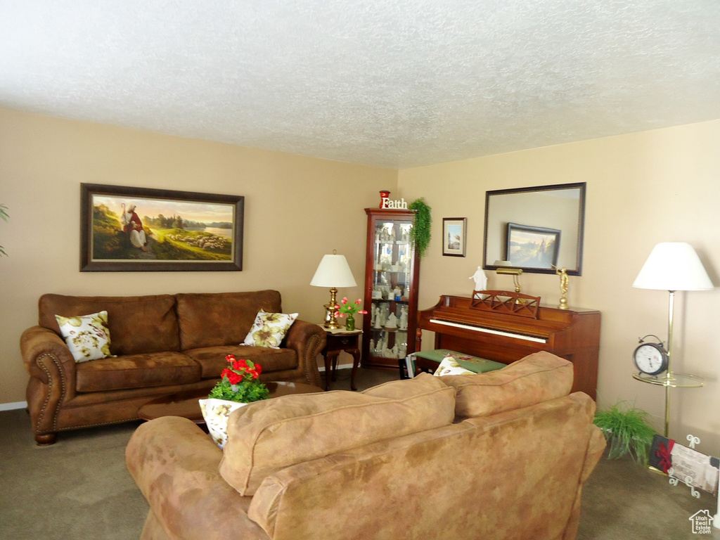 Living room with carpet floors and a textured ceiling