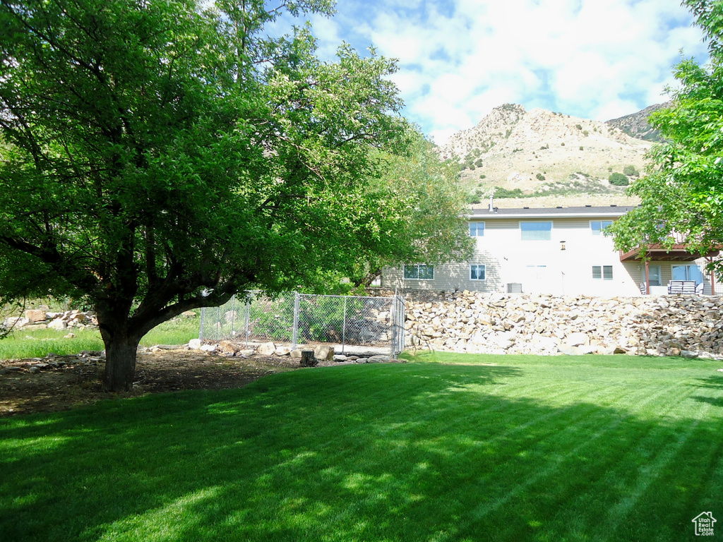 View of green lawn with a mountain view