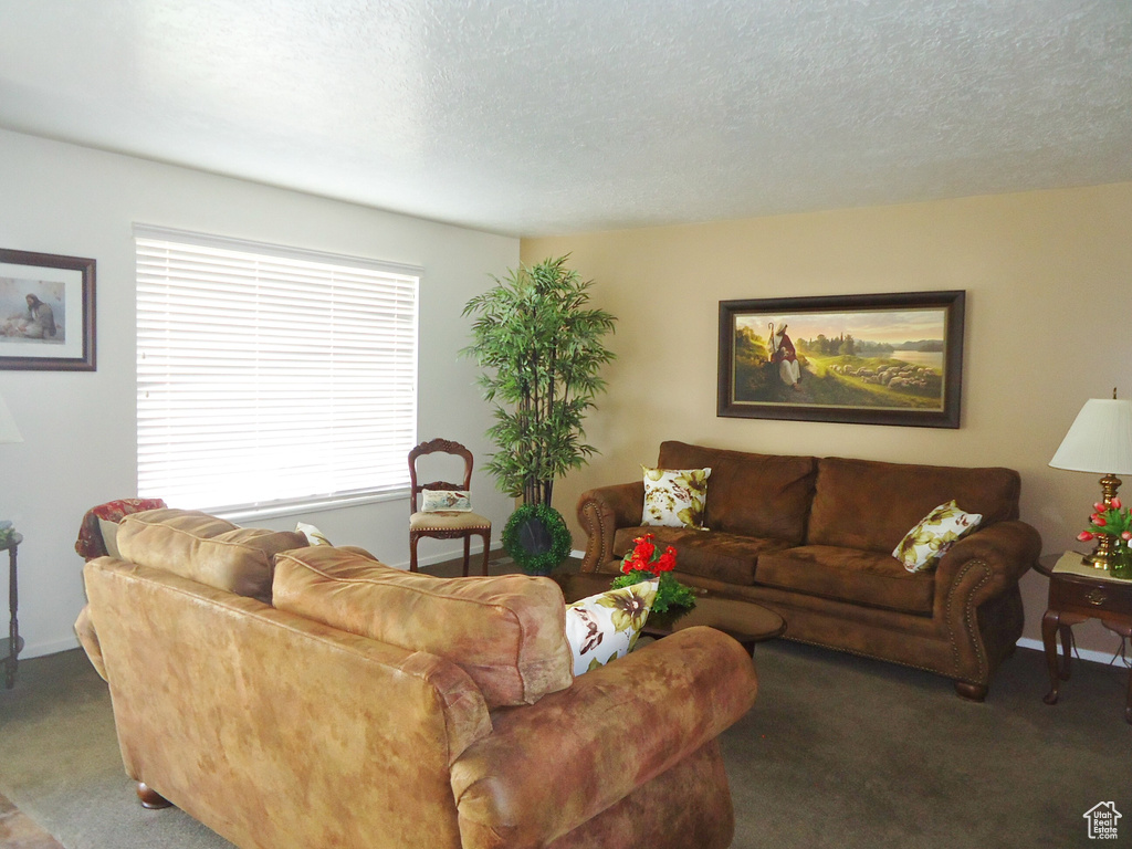 Carpeted living room featuring a textured ceiling