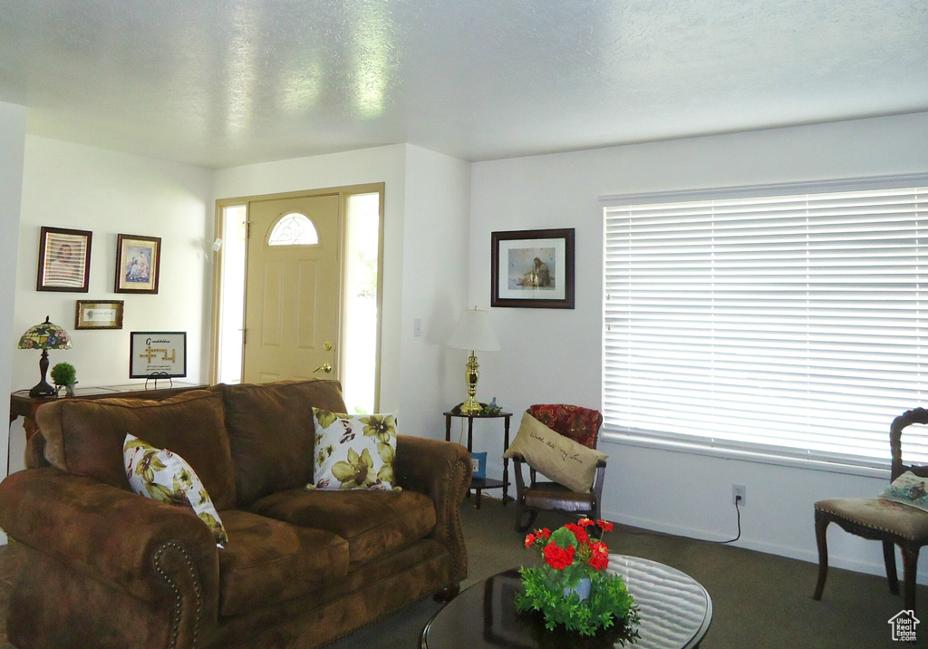 Carpeted living area with baseboards
