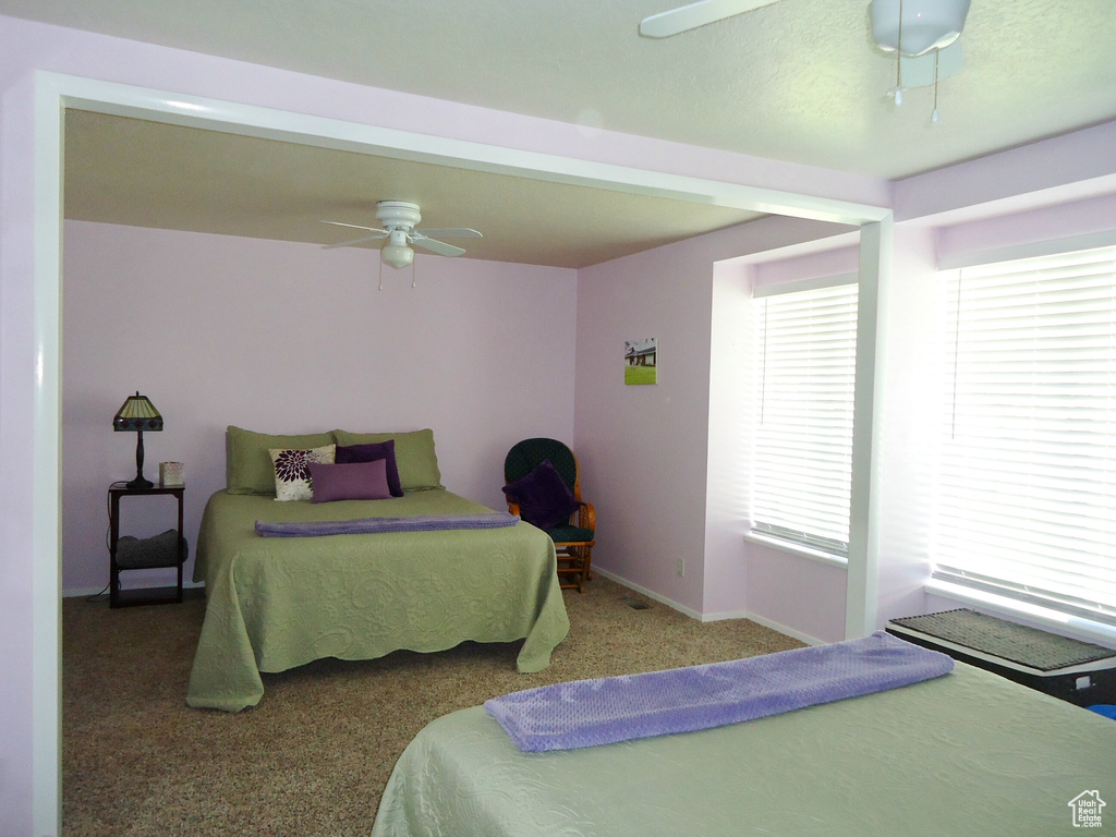 Carpeted bedroom featuring multiple windows, a ceiling fan, and baseboards
