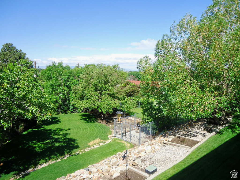 View of grassy yard with a vegetable garden