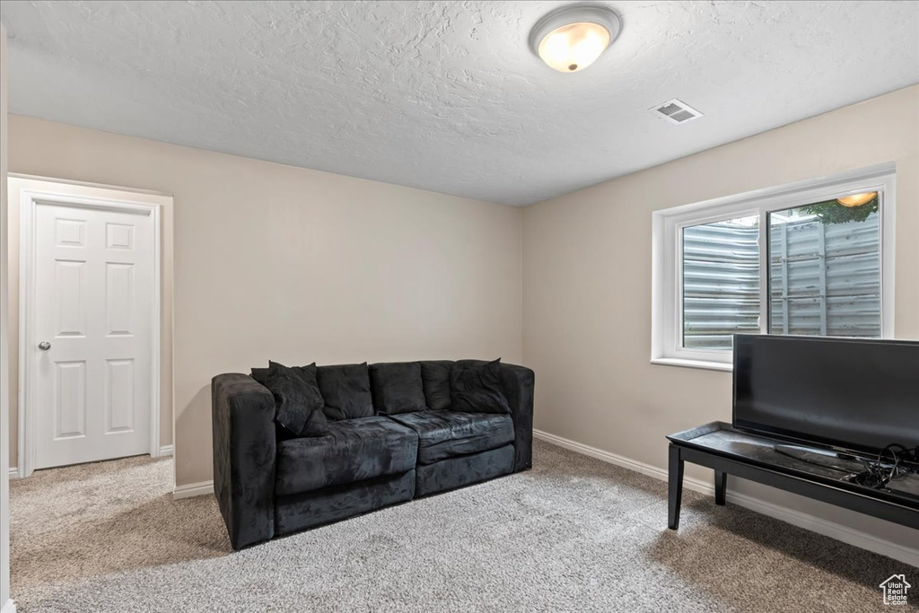 Carpeted living room featuring a textured ceiling and baseboards