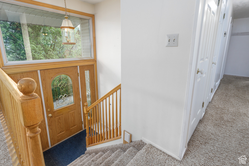 View of carpeted entrance foyer
