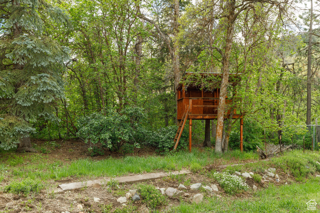 View of yard with a view of trees