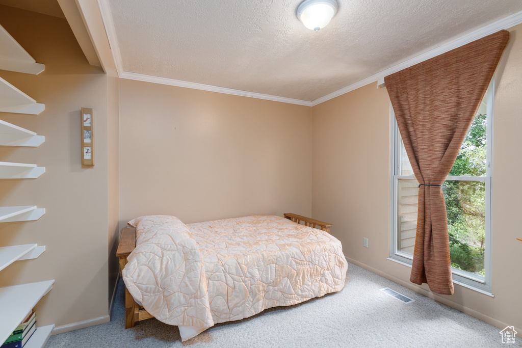 Carpeted bedroom featuring ornamental molding and baseboards