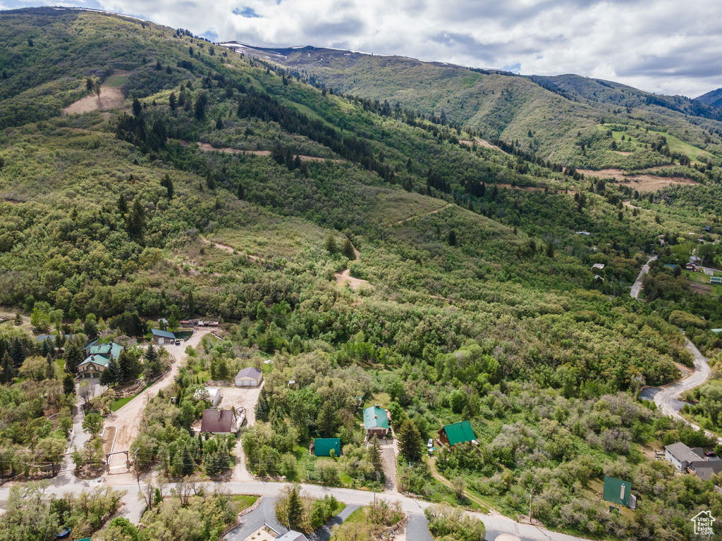 Aerial view of a mountainous background and a heavily wooded area