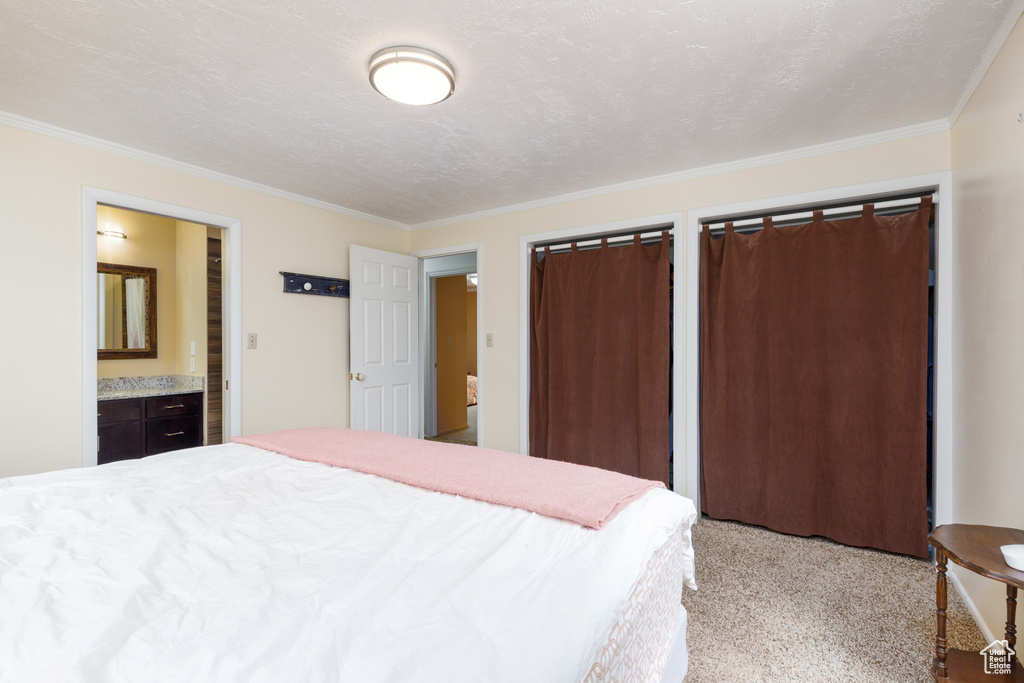 Carpeted bedroom with crown molding and connected bathroom