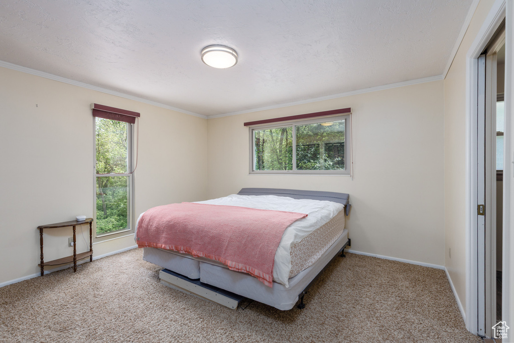 Bedroom featuring baseboards, ornamental molding, and carpet