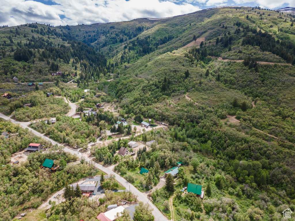 Drone / aerial view of a heavily wooded area and a mountainous background