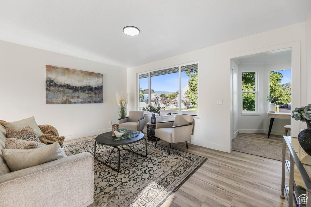 Living room featuring plenty of natural light, light wood-type flooring, and baseboards