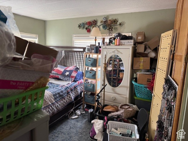 Carpeted bedroom featuring multiple windows