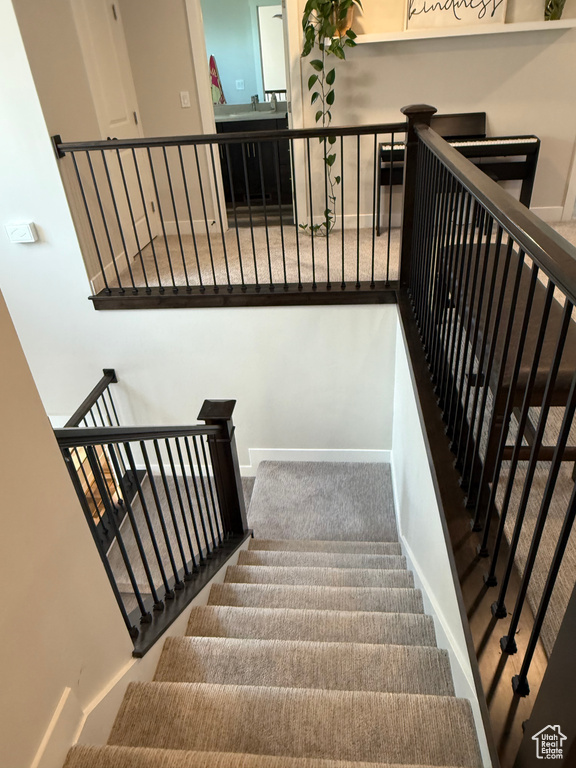Stairs featuring carpet flooring and baseboards