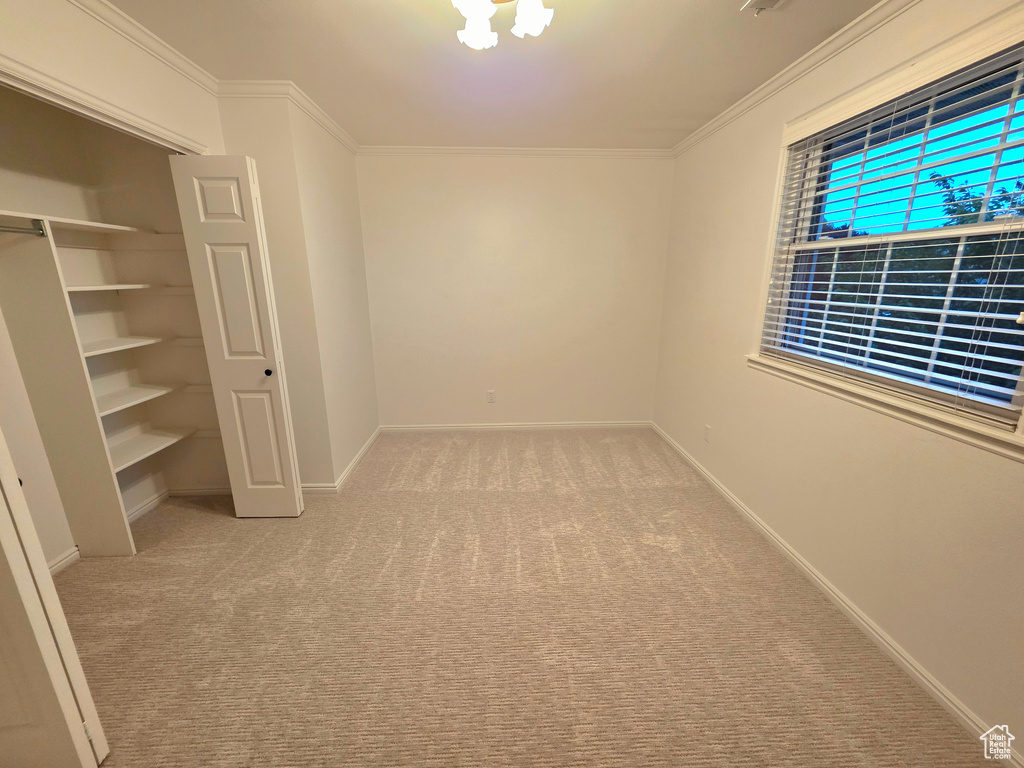 Unfurnished bedroom featuring carpet flooring, ornamental molding, baseboards, and a closet