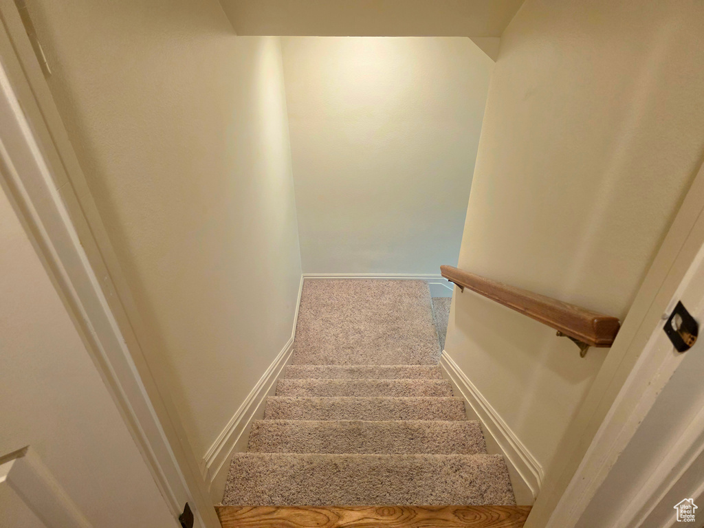 Staircase with carpet and baseboards