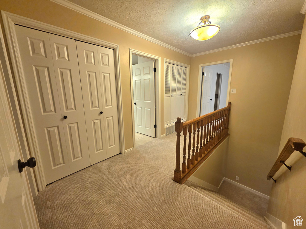 Hallway featuring light carpet, an upstairs landing, a textured ceiling, ornamental molding, and baseboards