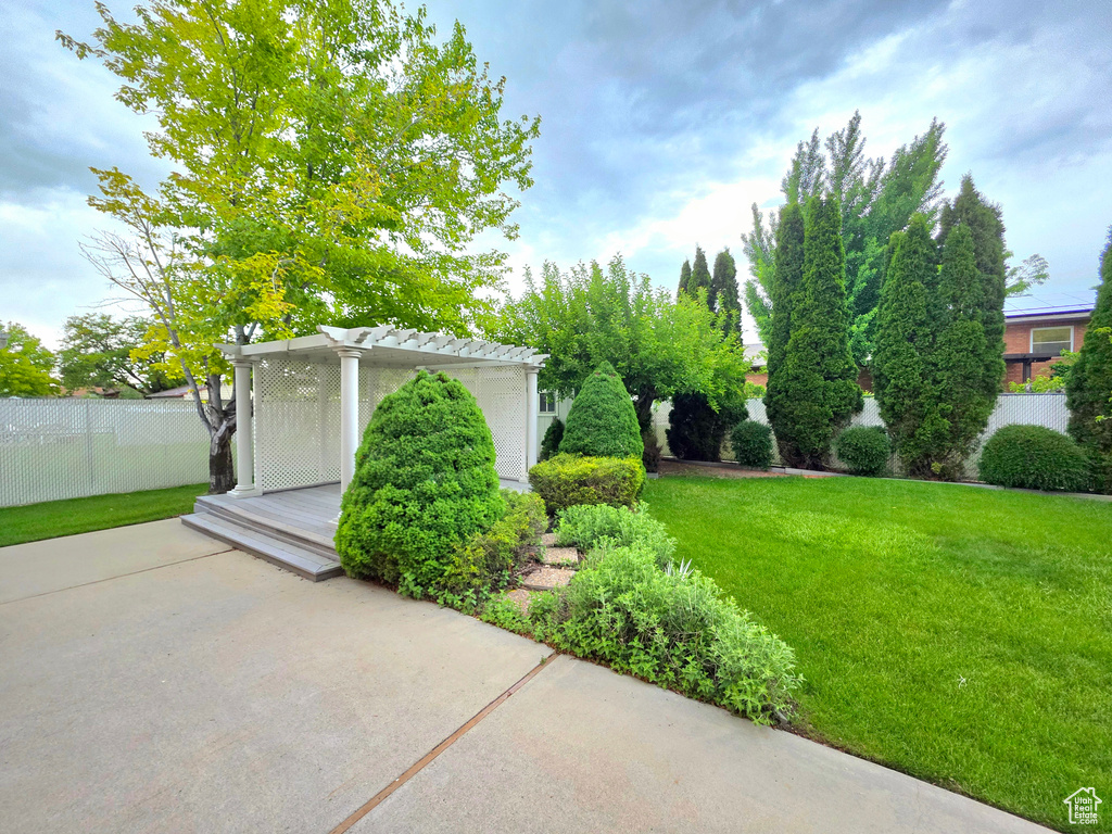 View of yard featuring a pergola and a patio
