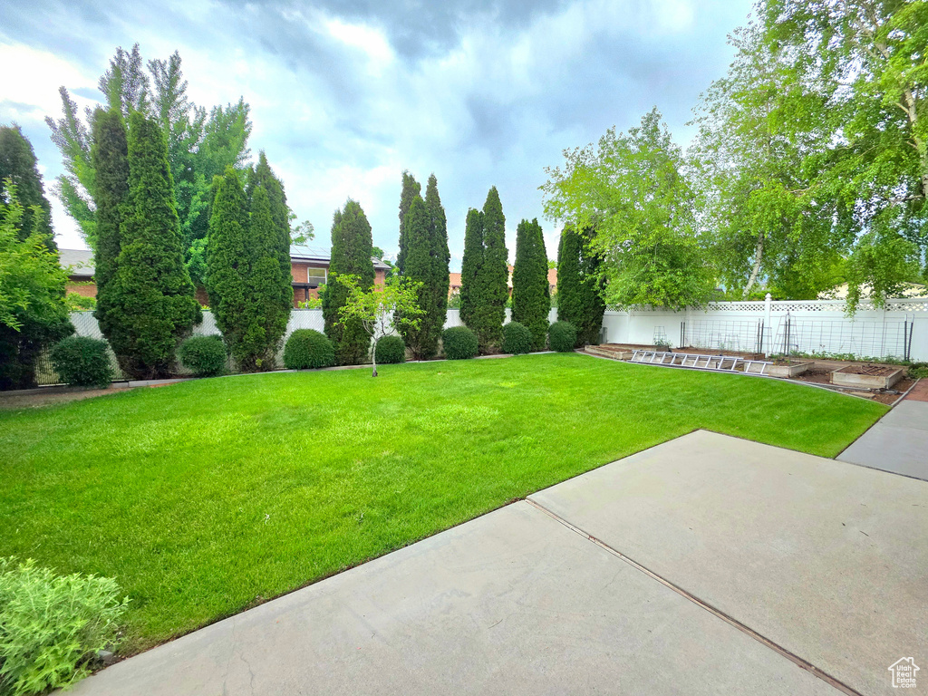 View of yard featuring a patio