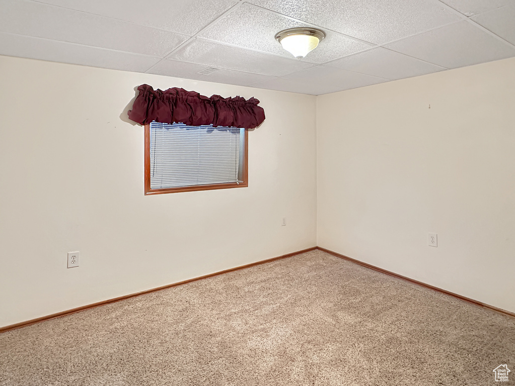 Carpeted empty room featuring a drop ceiling and baseboards