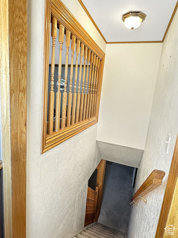Stairs with a textured wall and crown molding